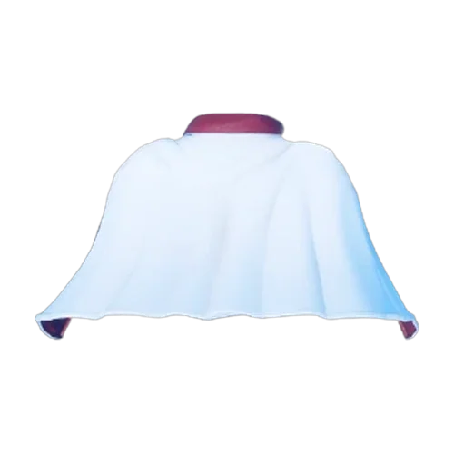 Big Mama's Cape artwork
